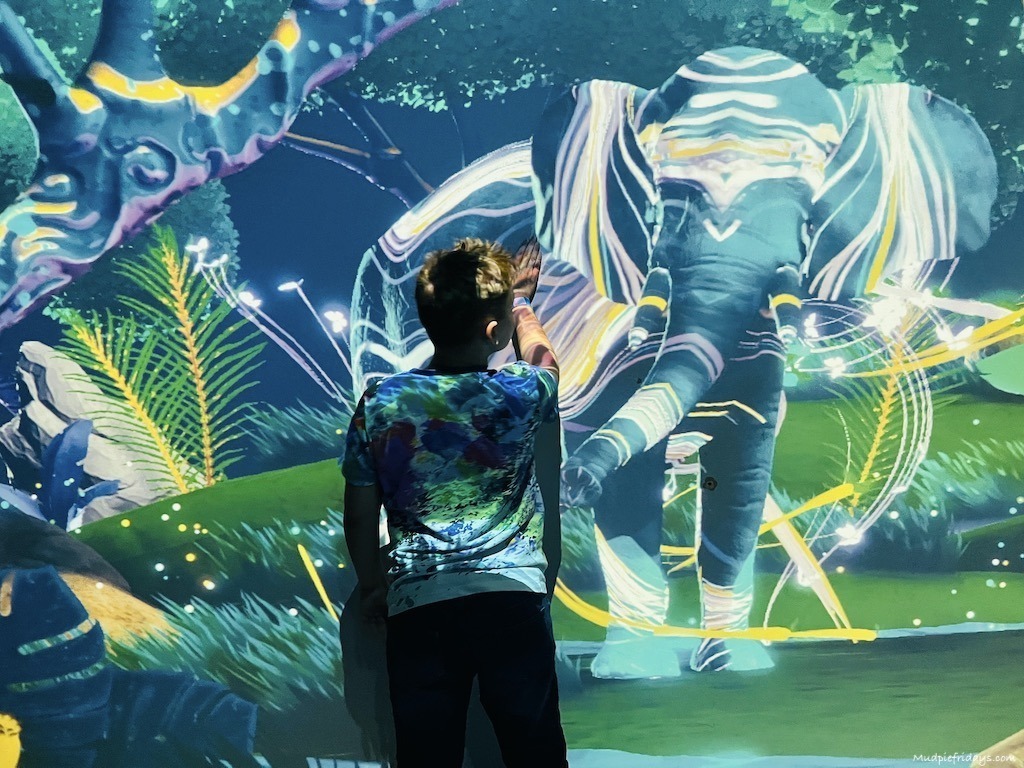Interactive animal projections at Hobbledown Farm in Epsom, Surrey