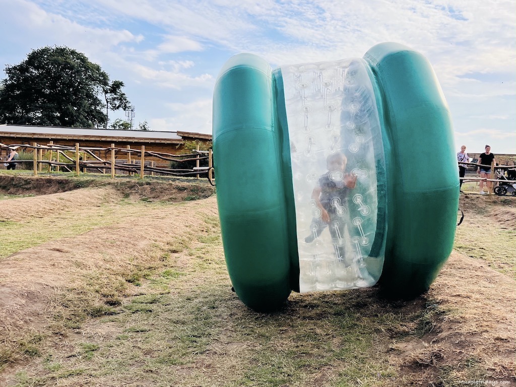 One of the zorbs at Hobbledown farm in Epsom Surrey