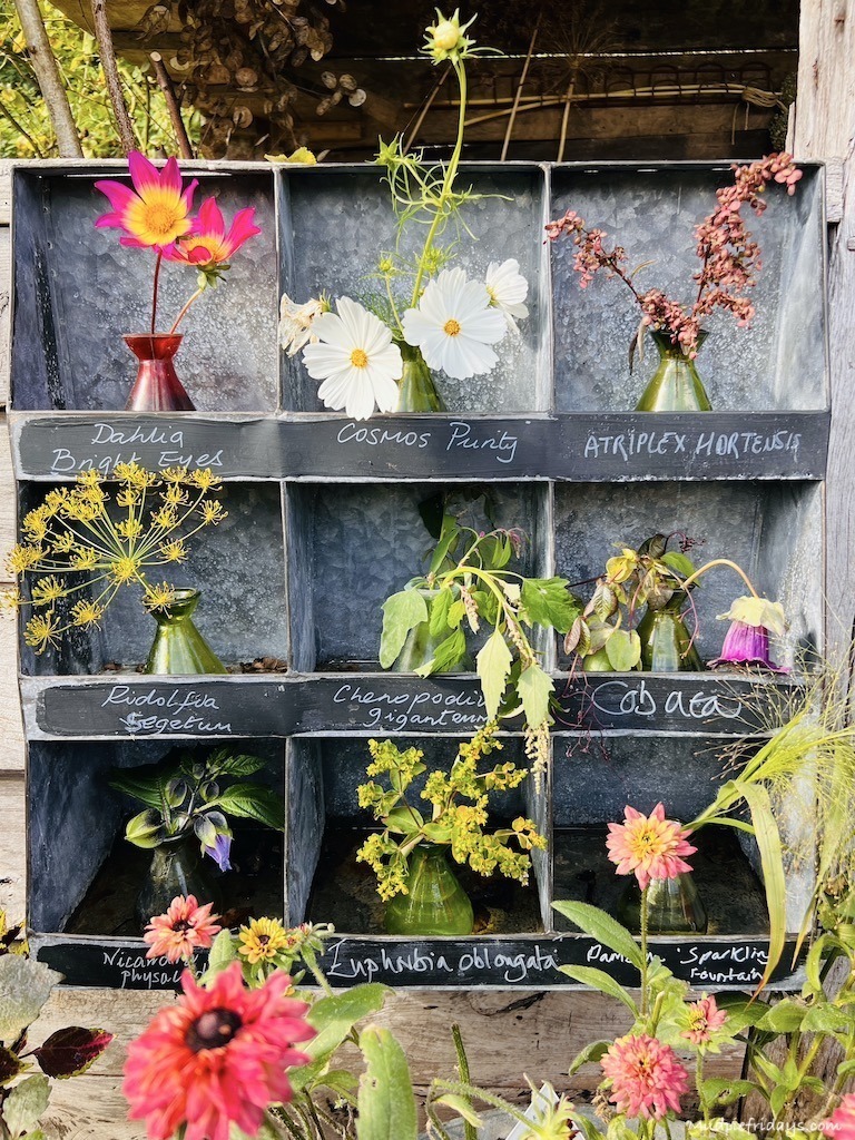 different flowers on display at Perch Hill 