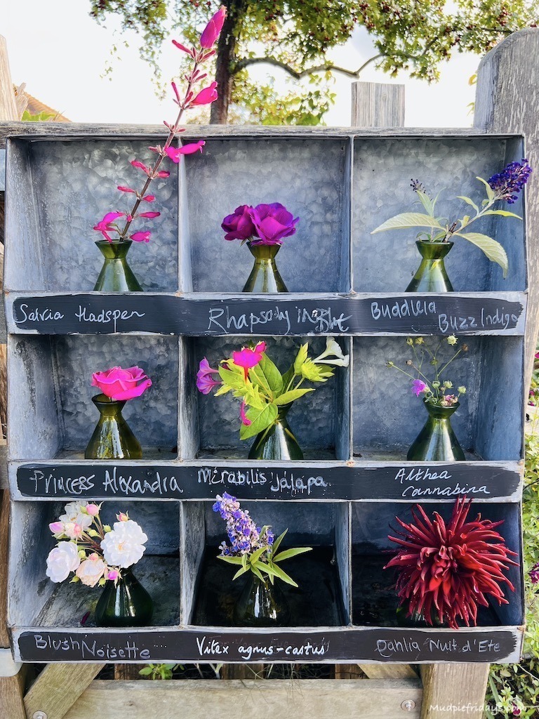 different flowers on display at Perch Hill 