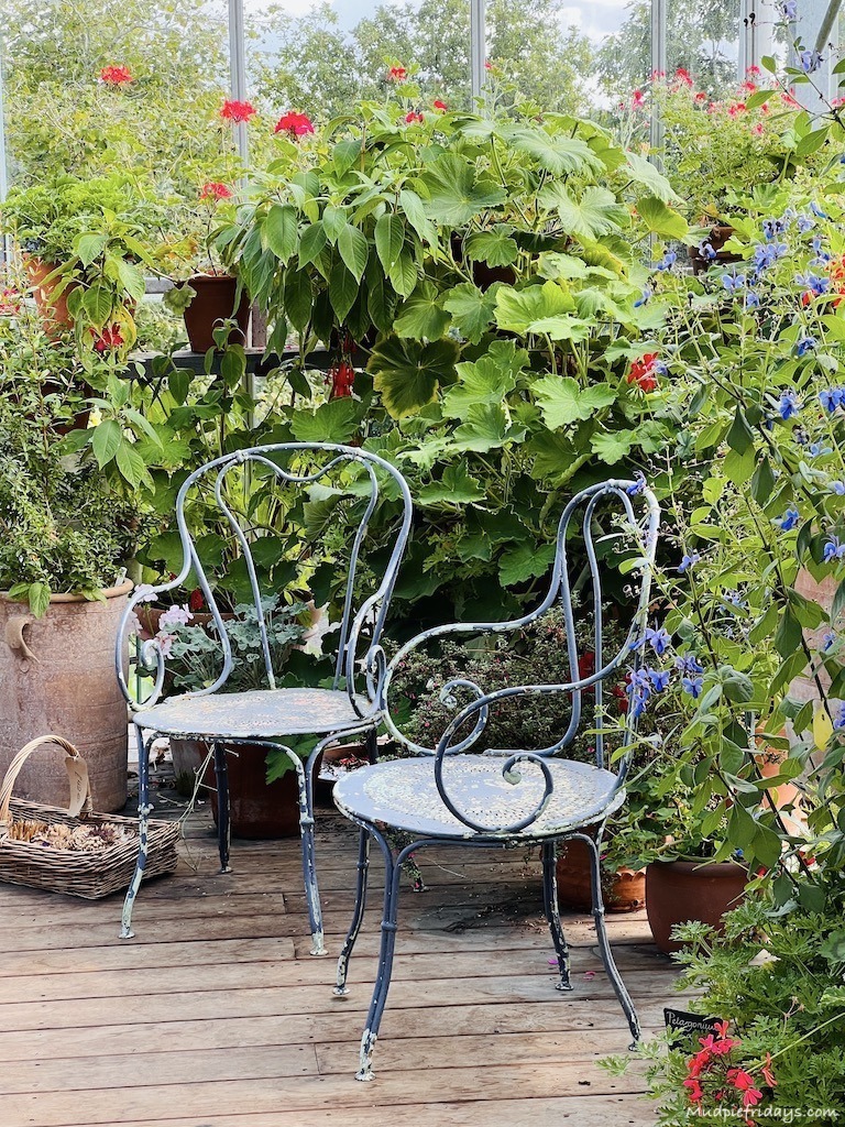 inside the conservatory 