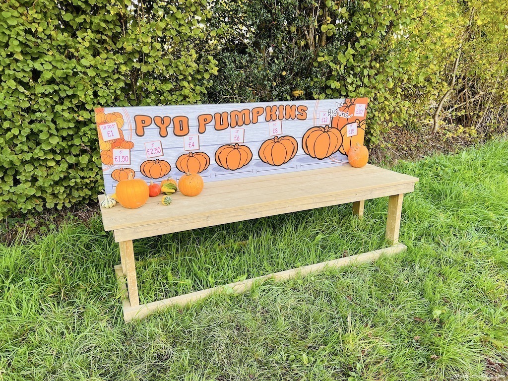 pumpkin measuring for price at Tulleys Farm