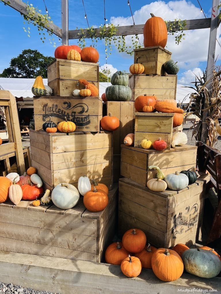 pumpkin display in the centre of the market at Tulleys Pumpkin Farm