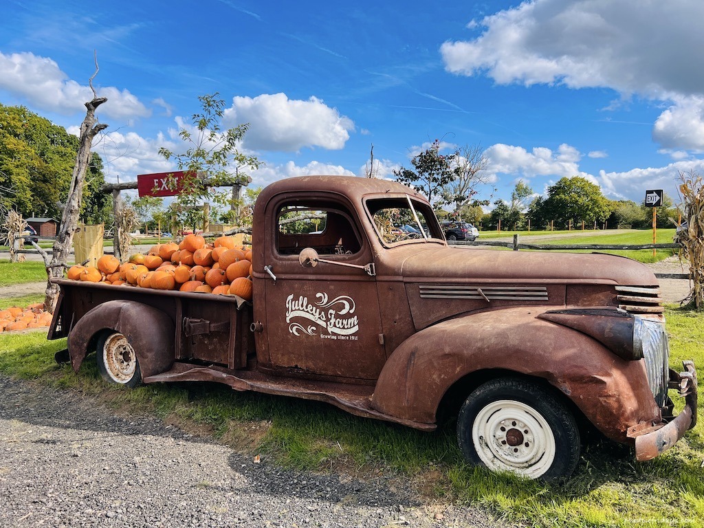 Old pick up with pumpkins in the truck