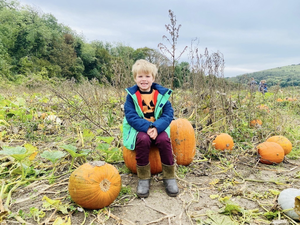 Poynings pumpkin patch