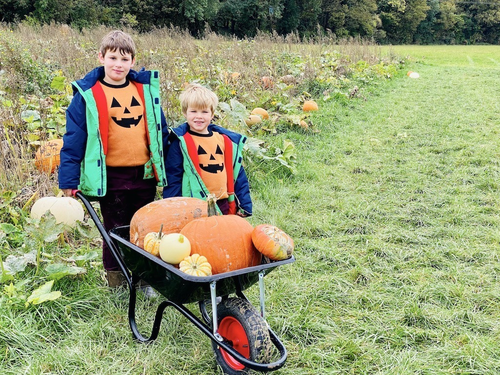 The boys with a wheelbarrow full of pumpkins