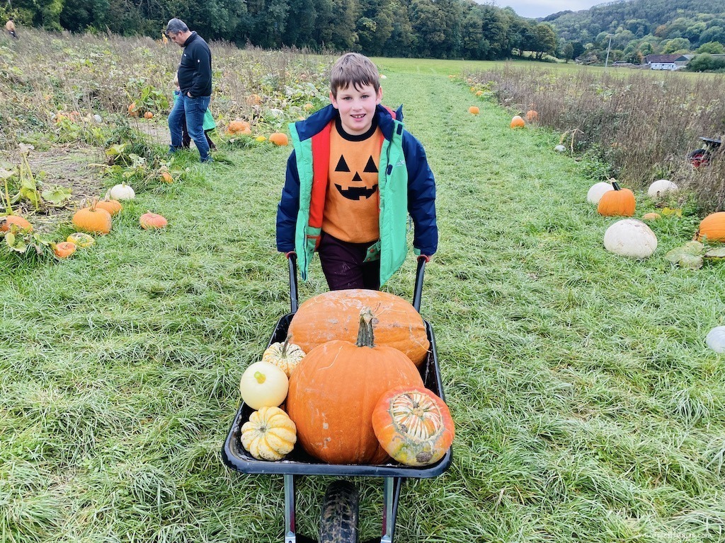 Charlie with a wheelbarrow full of pumpkins at Poynings Pumpkin Patch