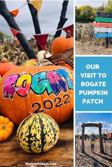 our vist to rogate pumpkin patch