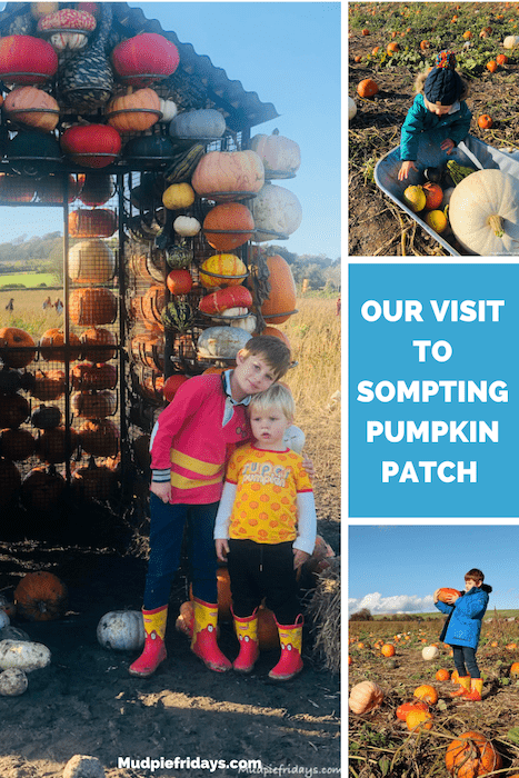 Our visit to Sompting Pumpkin Patch