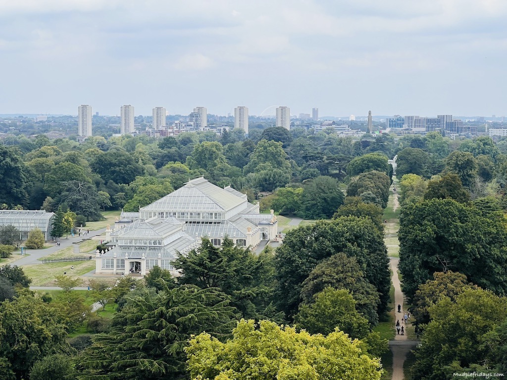 The view of the temperate house at Kew gardens from the pagoda