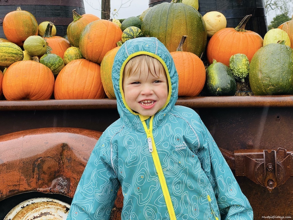 Harry in the rain