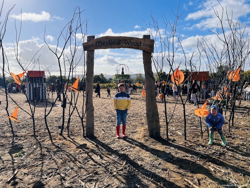 Charlie at the entrance of merlins wood at rogate pumpkin patch