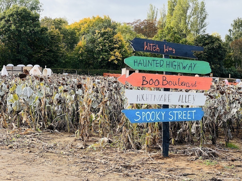signs at Rogate pumpkin patch