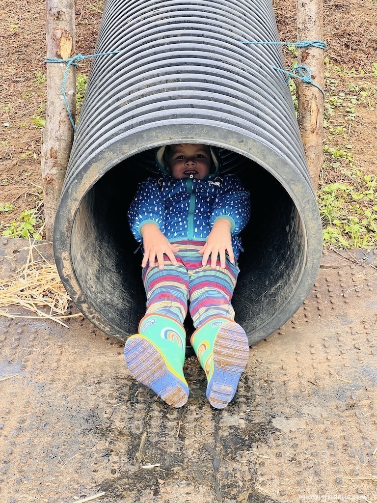 Harry going down a tube slide in the play area at rogate pumpkin patch