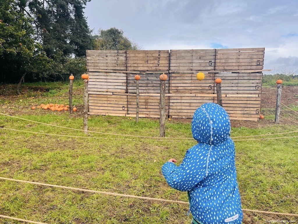 playing pumpkin shy
