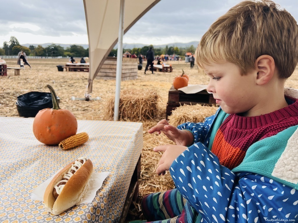 harry eating a hot dog