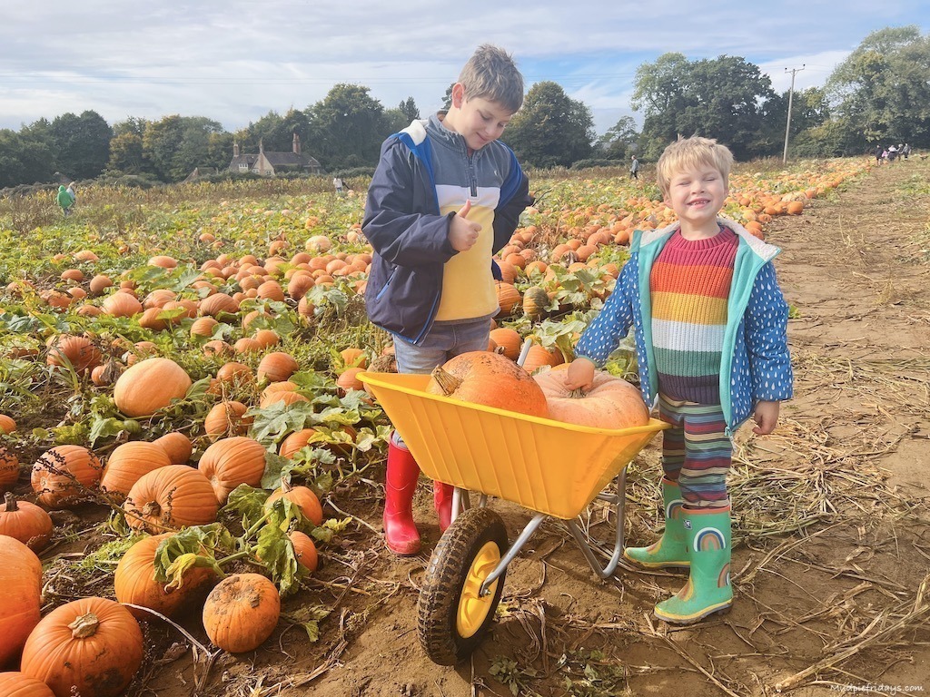 The boys with their wheelbarrow of pumpkins