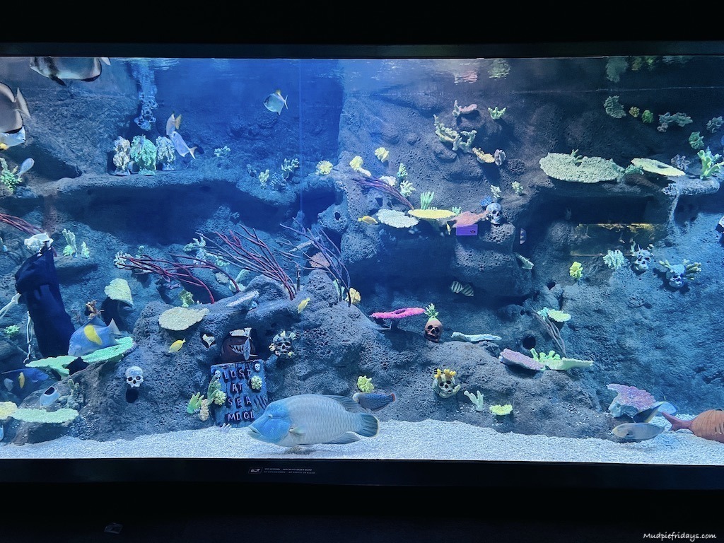The aquarium under the theatre at Tivoli Gardens