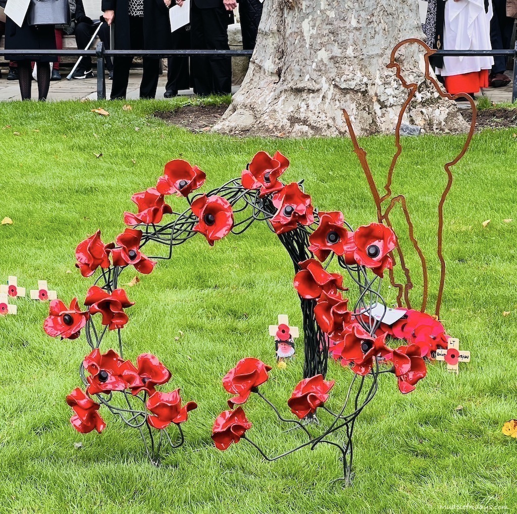 Remembrance day at the tower of london
