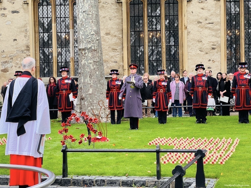 Remembrance day at the tower of london