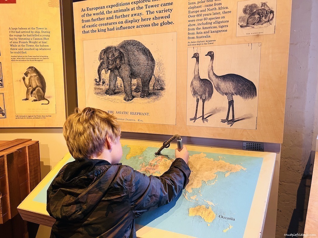 Harry looking at the interactive elements of the beasts in the tower display