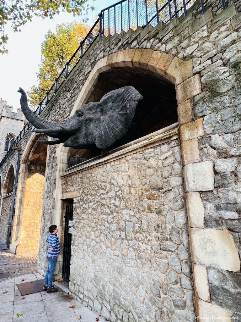 A wire elephant