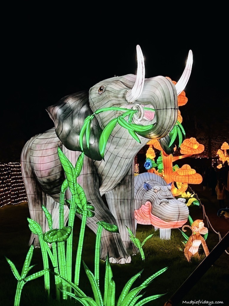 Elephant light lantern on the light trail at Longleat