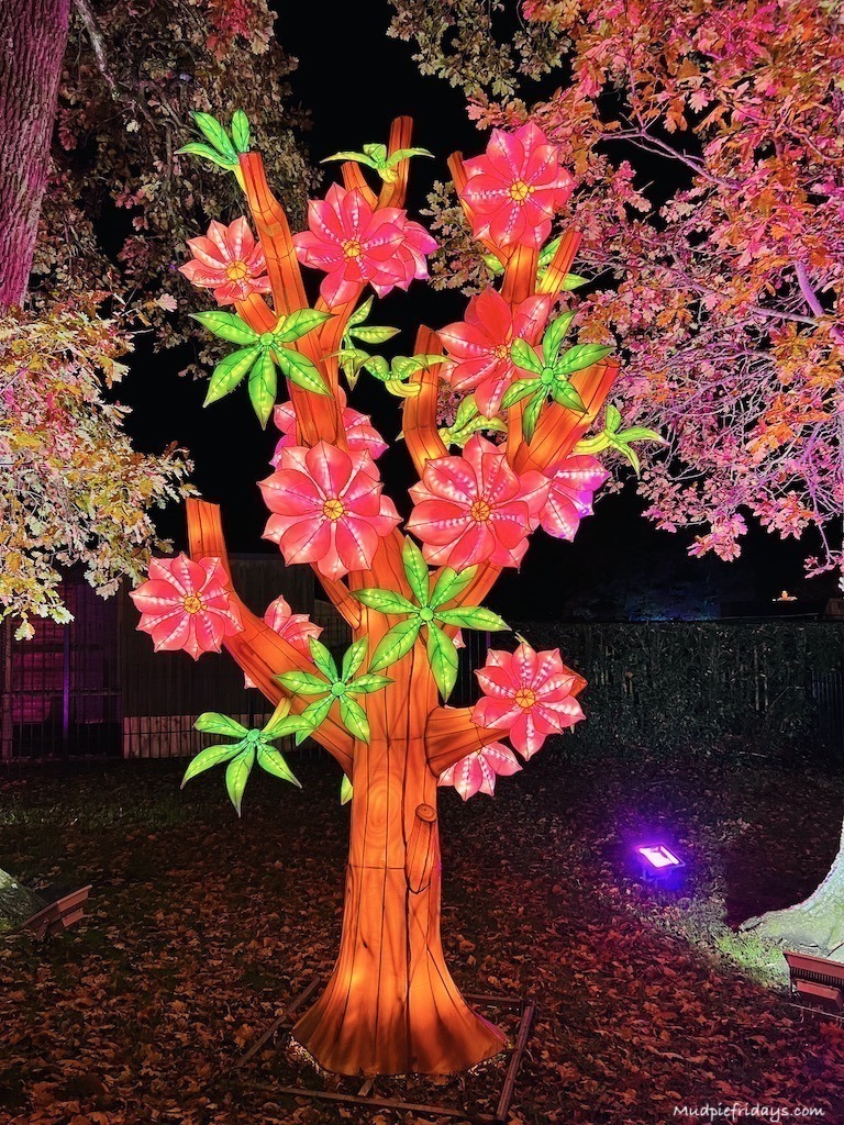 beautiful pink tree light lantern on light trail