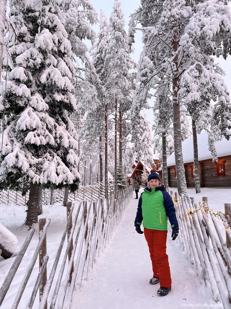 Charlie wandering around reindeer village