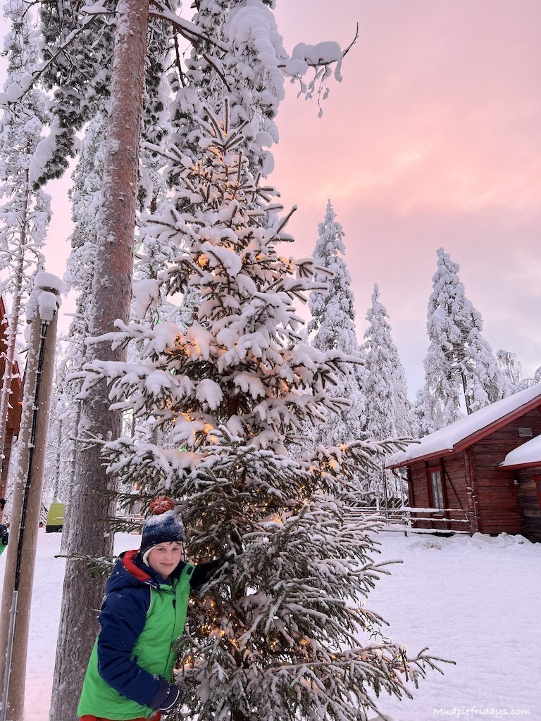 Charlie wandering around reindeer village