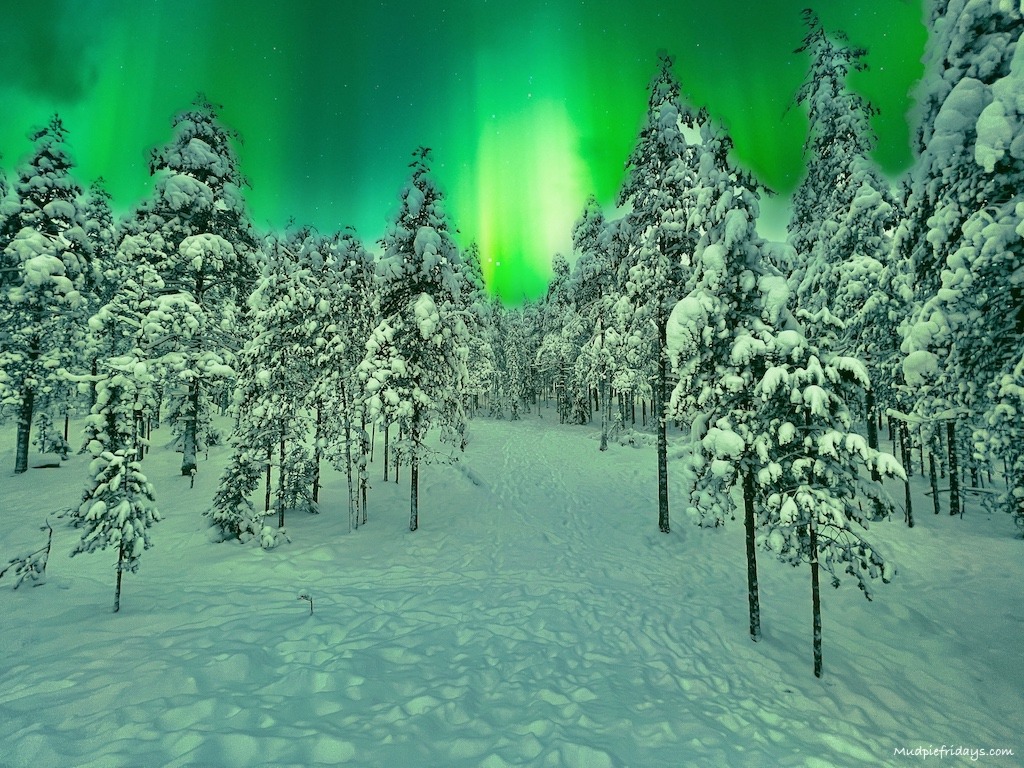 Holiday to Lapland - 6 Night Christmas Itinerary