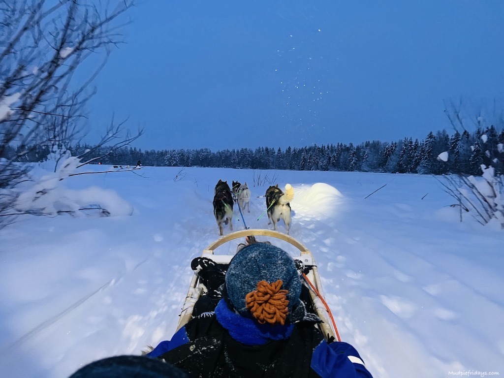 Choosing The Best Husky Safari Experience in Rovaniemi Lapland