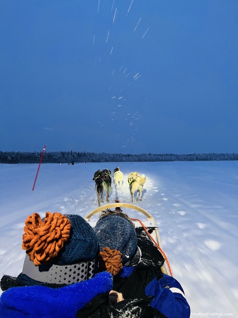 on our husky ride in Rovaniemi out on the ide in a dog sled