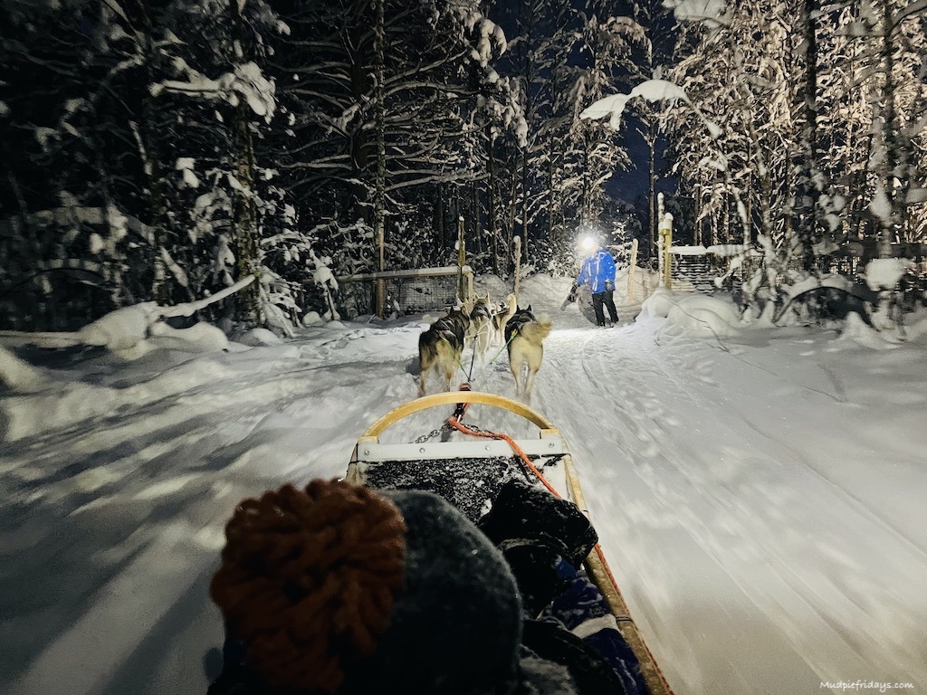 on our husky ride in Rovaniemi out on the ide in a dog sled