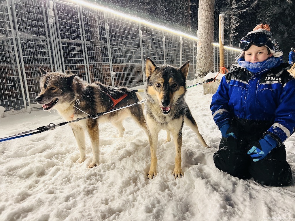 Charlie and the huskies in Rovaniemi finland 