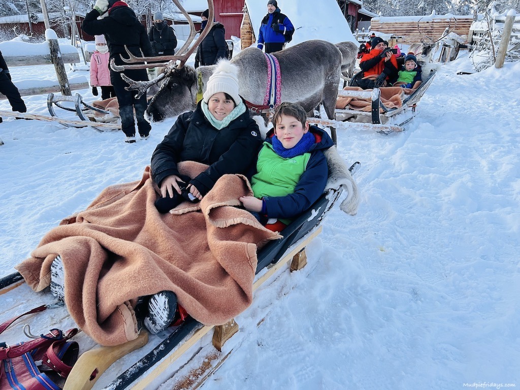 Waiting in the sleigh ready for our reindeer ride at Apukka Resort in Rovaniemi