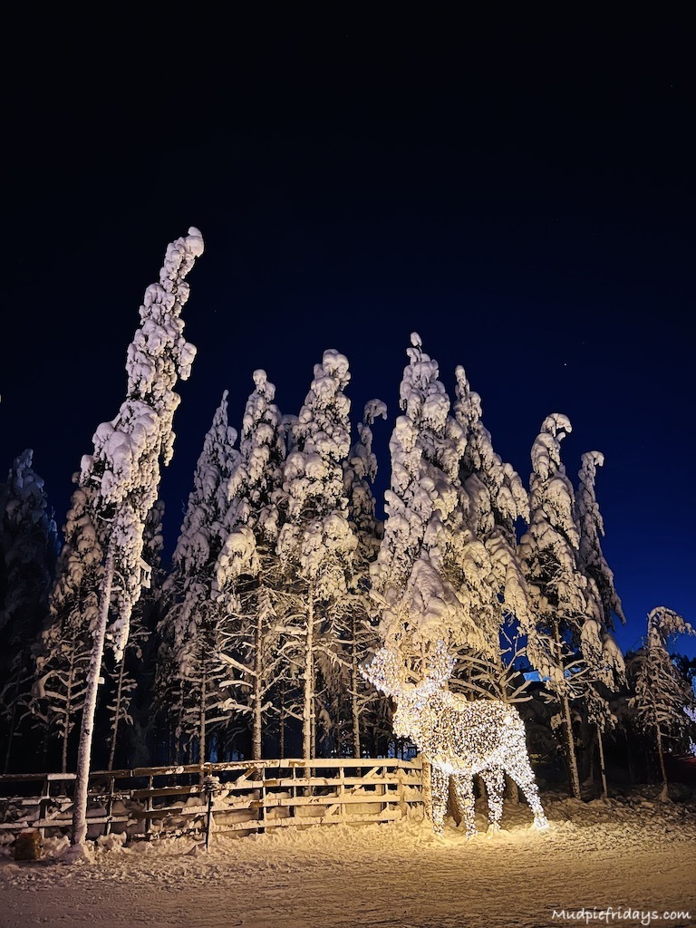 trees covered in snow at the ice hotel and a brightly lit up reindeer