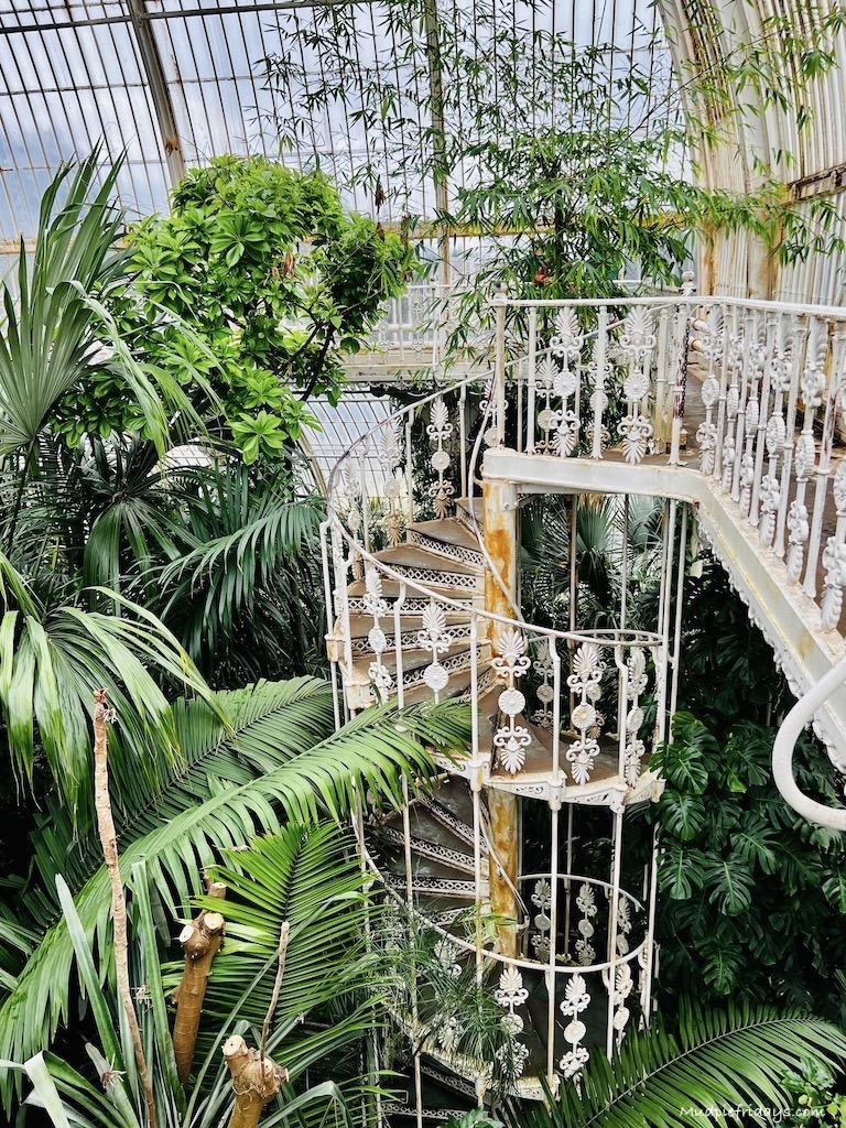 Spiral staircase in the Palm House in Kew Gardens in Surrey