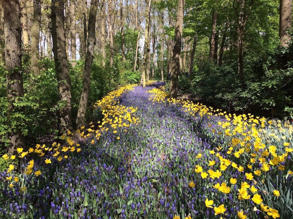 Easter activities in Kent in amongst the spring flowers. East egg hunts in kent