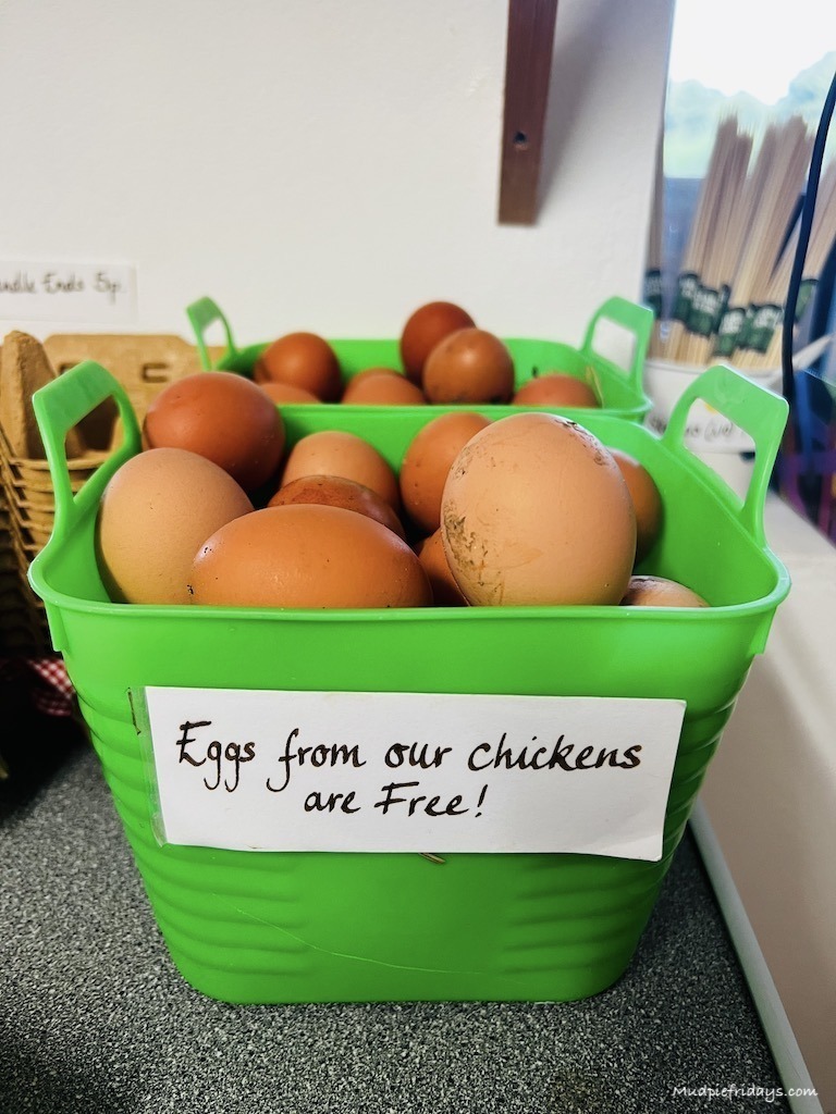 free fresh eggs in the honesty shop - glamping in Somerset