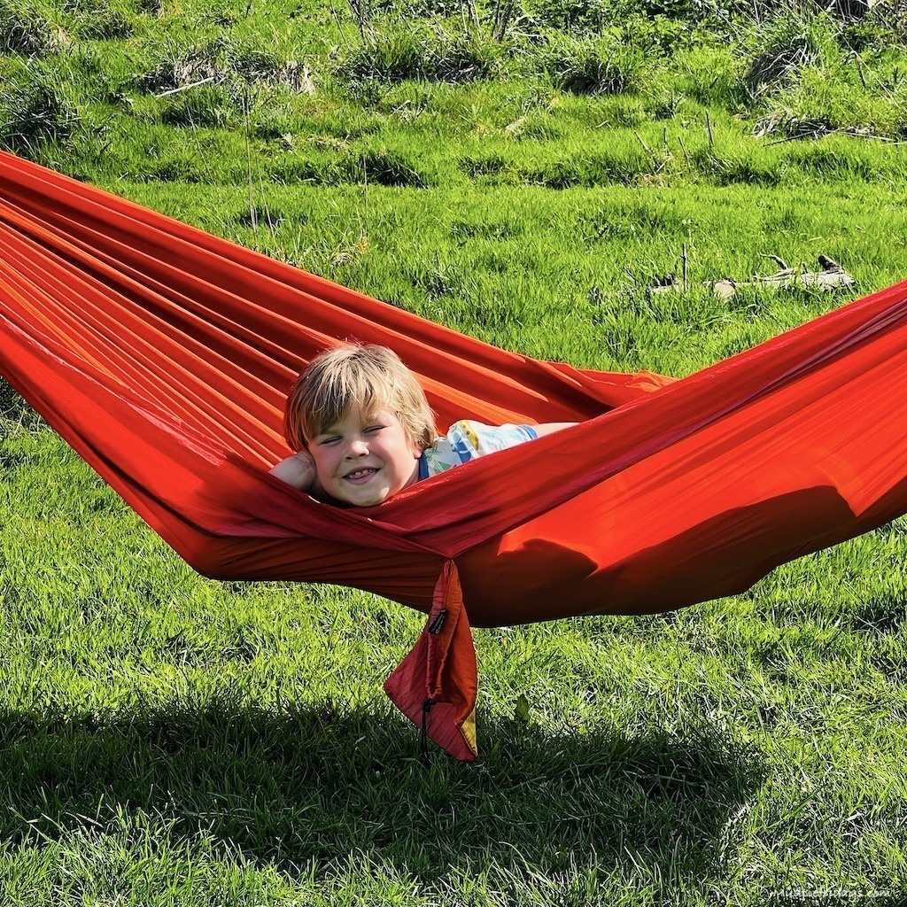 Harry in a red Hammock