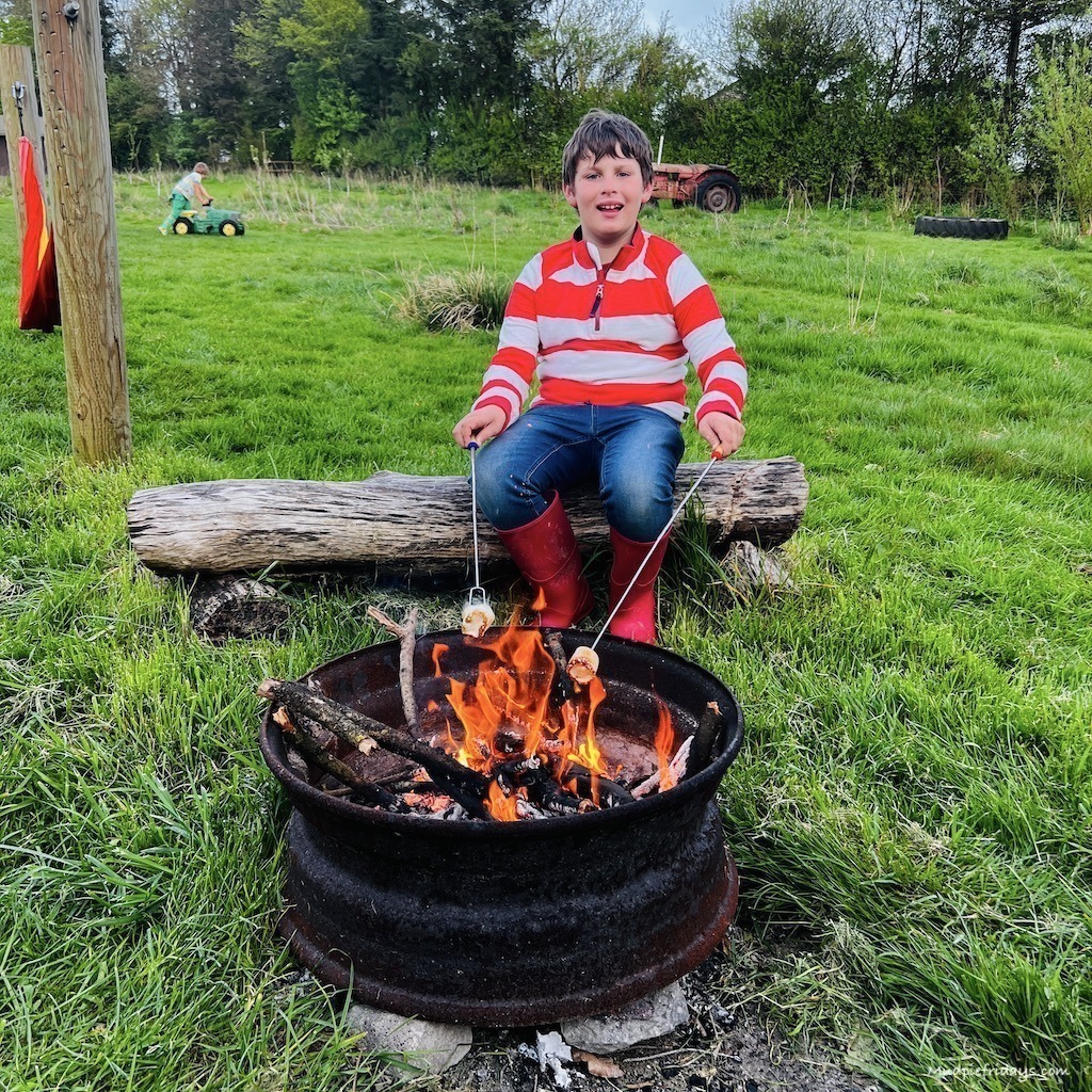 Toasting marshmallows on the fire pit