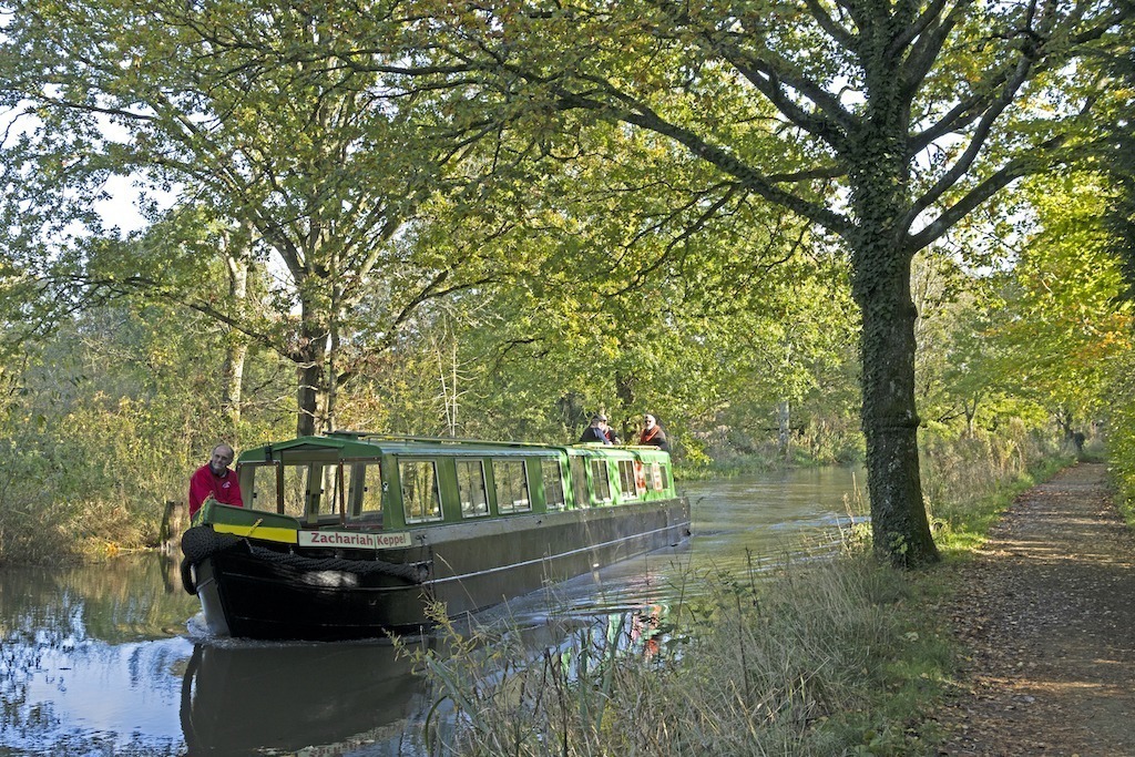 Wey & Arun Canal - Cream Tea Cruises