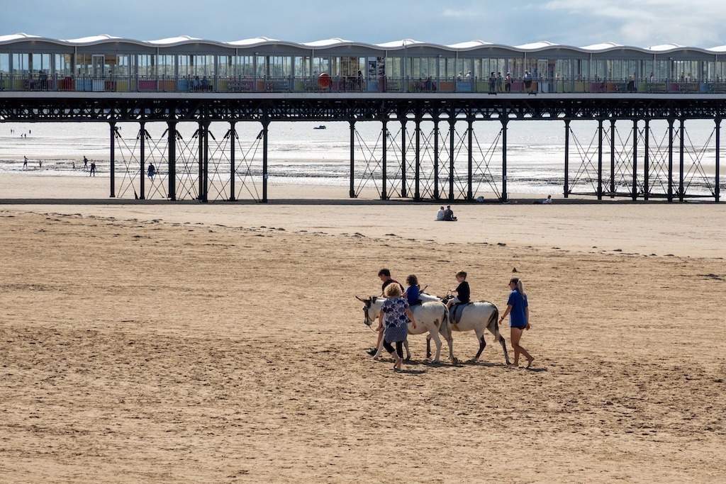 Donkeys on the beach with the pier in the background
