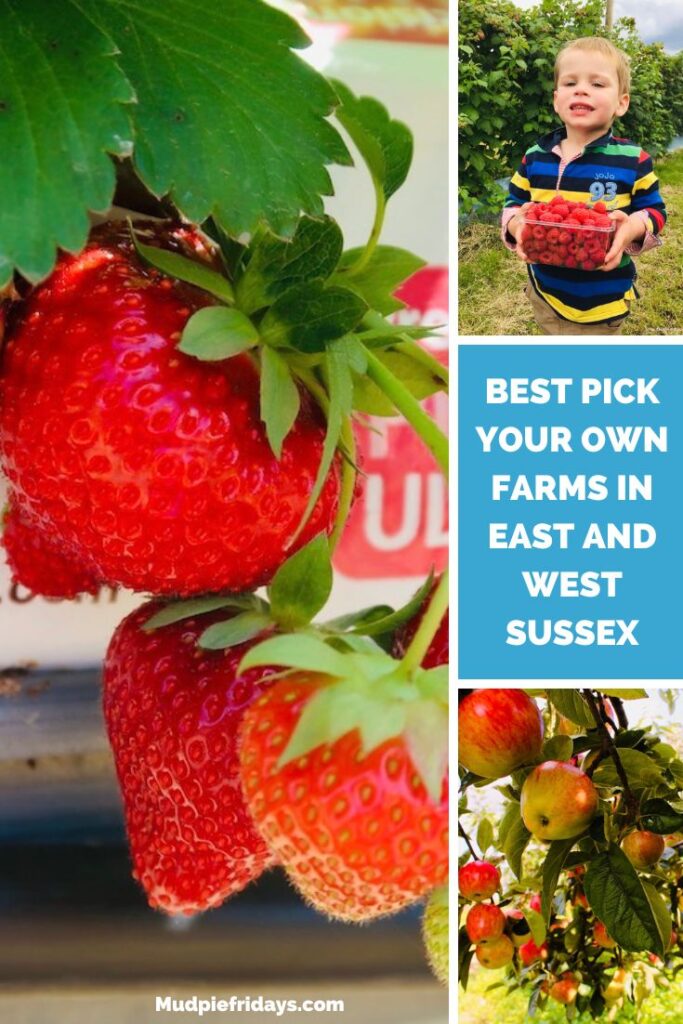 Best Pick Your Own Farms in East and West Sussex