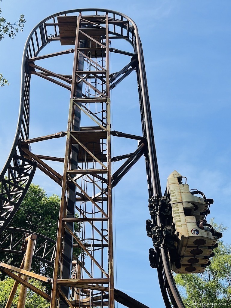 The falcon rollercoster and the large drop