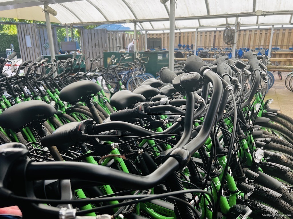 rows of bikes to hire at the campsite