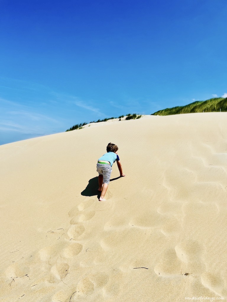 The white sand and sand dunes at Wassenaar Beach in the Netherlands or Wassenaarseslag