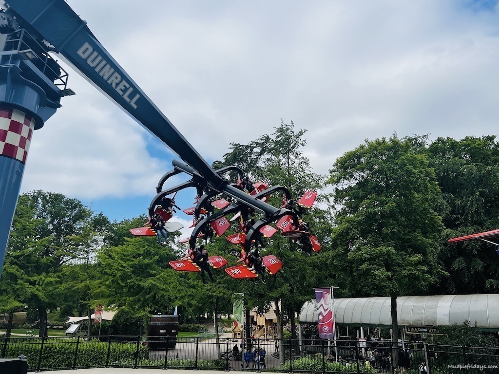 The wild wings ride in full motion