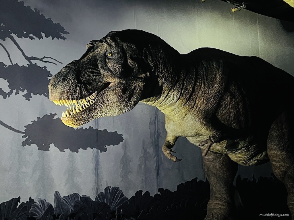 Seeing the T-rex in the dark at the NHM Dino Snores